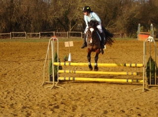  Curso de salto 
